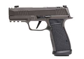 Sig Sauer P365 AXG Legion (9mm)