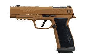 Sig Sauer P365 DH3 AXG (9mm)